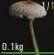 人渣SCUM怎么区分毒蘑菇 人渣SCUM可食用蘑菇以及毒蘑菇一览