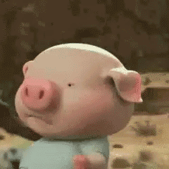 微信中小猪奔跑减肥的表情包无水印完整版