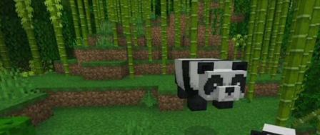 我的世界熊猫怎么得 我的世界熊猫在哪