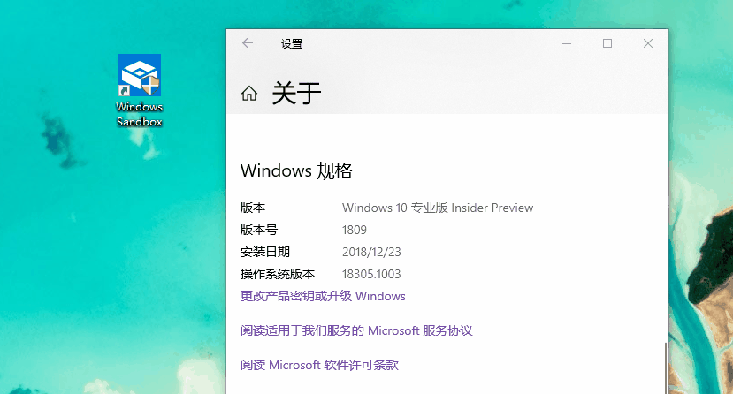 win10Windows沙盒无法打开解决方法 Windows 10 19H1 Build 18305.1003沙盒无法运行