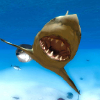 愤怒的鲨鱼3D