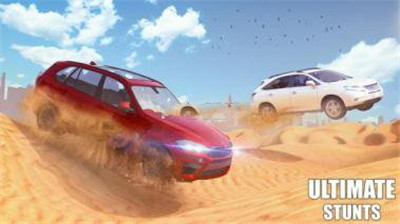 阿拉伯沙漠赛车模拟器截图3