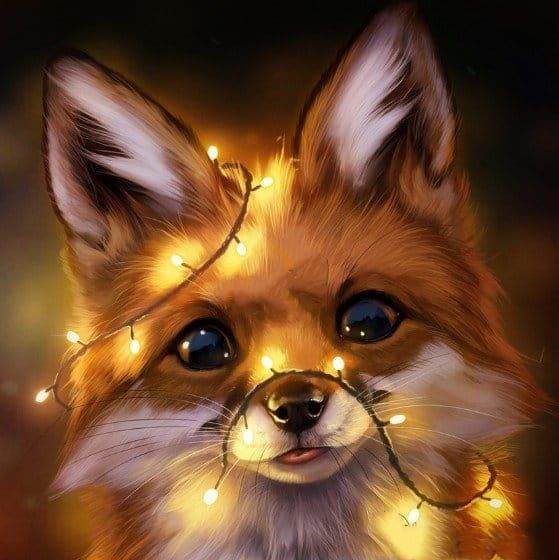 圣诞节的小狐狸动态壁纸下载 Wallpaper动态壁纸下载 99游戏