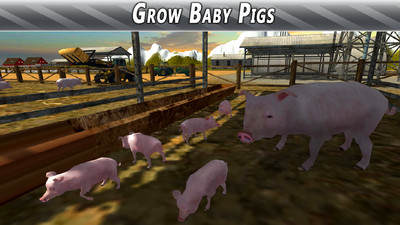 农场猪猪模拟游戏截图1