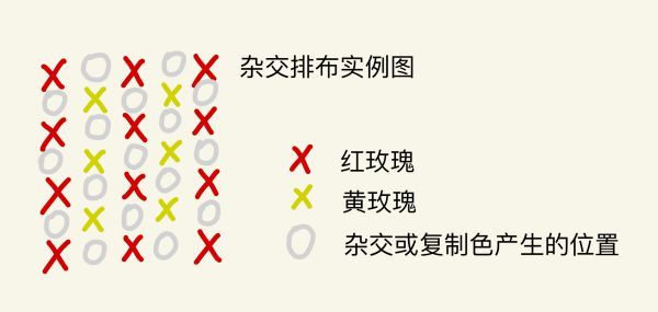 集合啦动物森友会花卉杂交攻略 集合啦动物森友会异色花杂交公式汇总