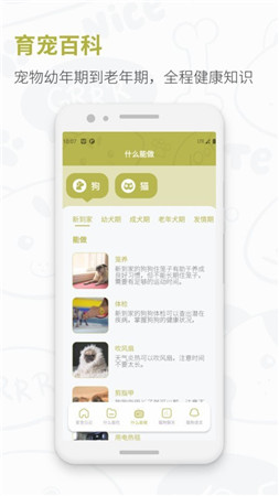 爱宠日记app安卓版截图3