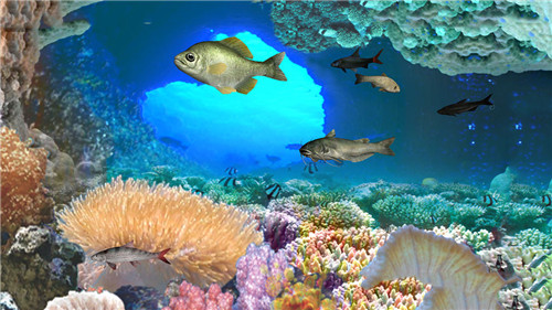 深海钓鱼模拟3d截图1