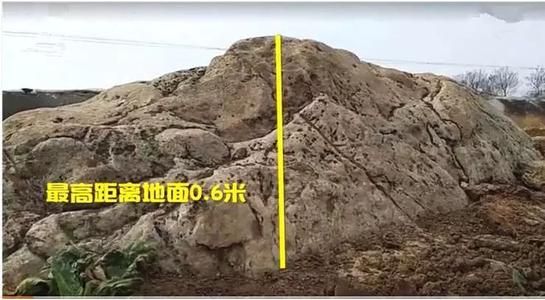 蚂蚁庄园今日答案 中国最矮的山有多高