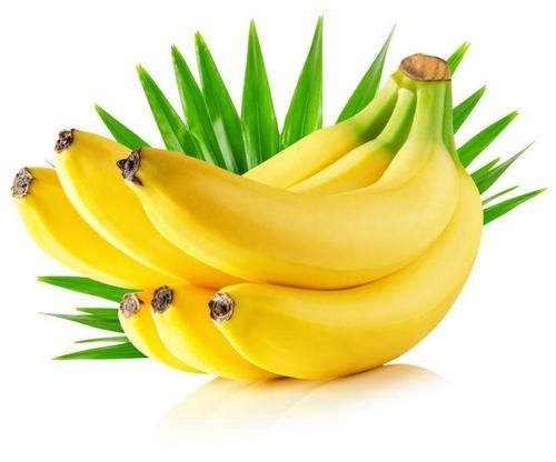 蚂蚁庄园今日答案 成熟的香蕉,形状为什么大都是弯的