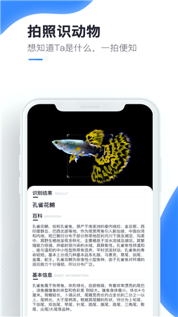 百科扫描王app官方版
