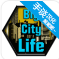 大城市生活模拟器中文官方版