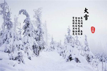 大雪节气祝福图片截图1