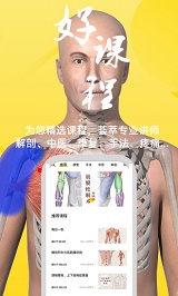 3Dbody解剖