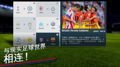 国际足球大联盟14中文版截图1