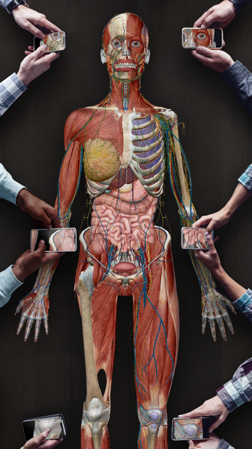 2021人体解剖学图谱截图2