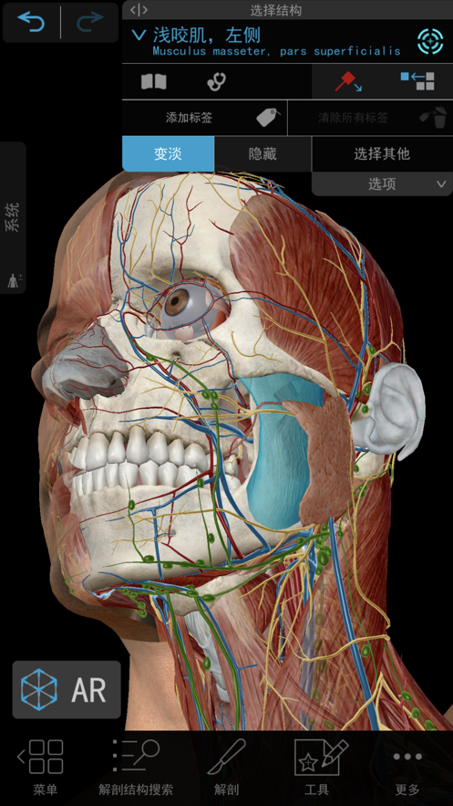 2021人体解剖学图谱截图5