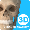 维萨里3D解剖教学