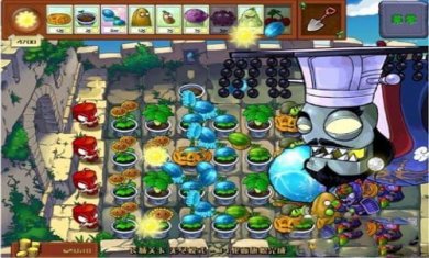 植物大战僵尸中国版手机版截图2