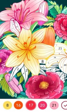 按数字着色截图6