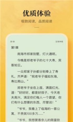 银翼小说