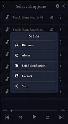 卡车喇叭声音(TruckHornSounds)截图4