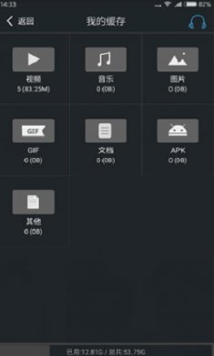 黑狮浏览器截图1