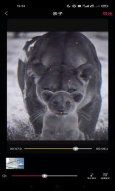 视频裁剪大师截图2