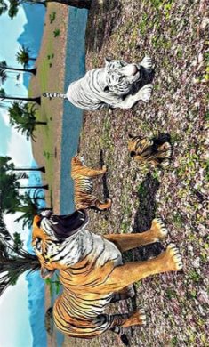 野生老虎模拟器游戏