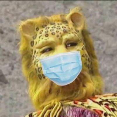 西游记金钱豹头像高清