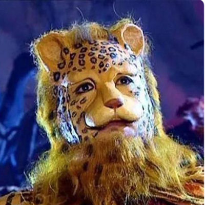 西游记金钱豹头像高清