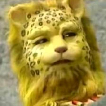 金钱豹头像走红