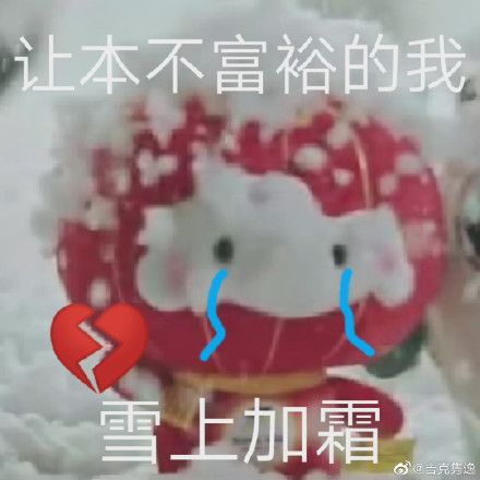 雪容融表情包原图