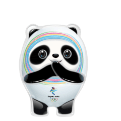 冰墩墩表情包熊猫头GIF截图1