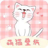 萌猫壁纸