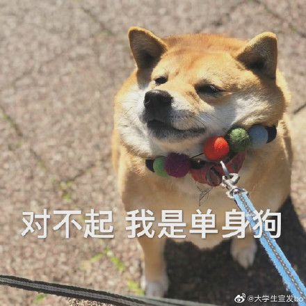 情人节表情包搞笑图片截图2