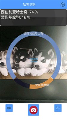 哈狗万能拍照识别