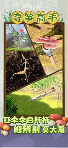 夺笋高手app