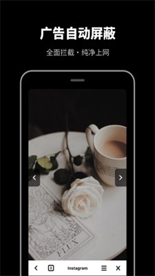 烈日浏览器无痕版截图4