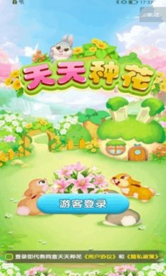 天天种花游戏截图1