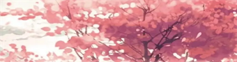 樱花动漫合集