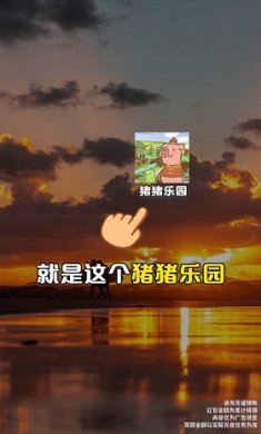 猪猪乐园app截图3
