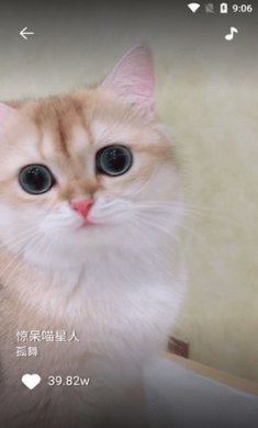 香菇短视频截图3