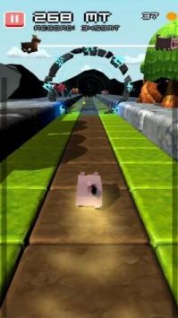 小猪狂奔(Grunt'nrun)