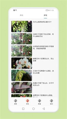 植物识别百科截图2