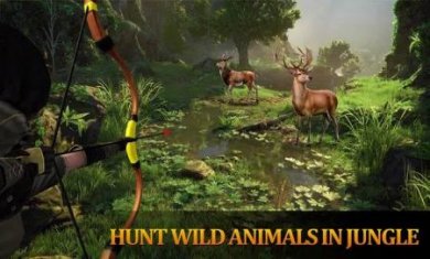 野生丛林动物猎人(BowArrowDeerHuntSimulatorVirtualHunterGame)截图3