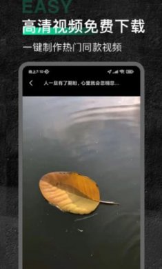 今日素材app截图2