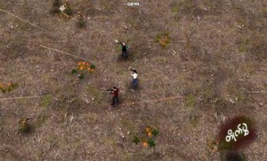 PDF游戏(ThePDFGame)