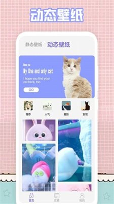 我的猫咪截图2