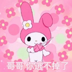 美乐蒂表情包gif动图