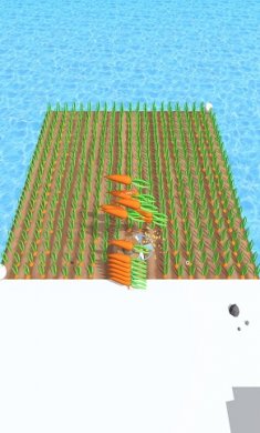 我的农场我做主